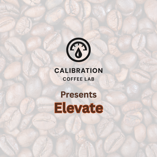 Calibration Coffee Lab: Elevate (12 oz. bag)